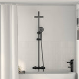 Vidaxl thermostatisch douchesysteem set zwart 27 x 46 x 123 cm rvs 201