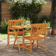 Vidaxl tuinstoelen 2 st naturel massief acaciahout