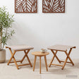 Vidaxl ligstoel 2 pcs massief eucalyptushout beige