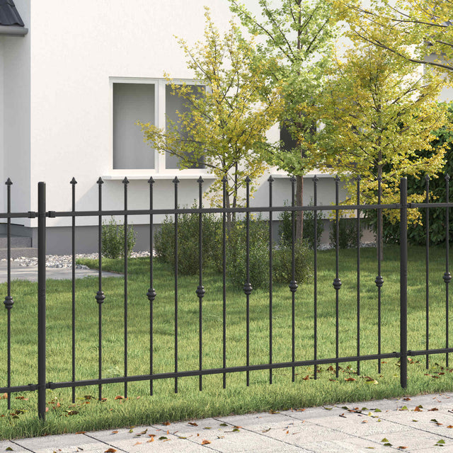 Vidaxl spike fence asten 200 x 100 cm gepoedercoat staal zwart