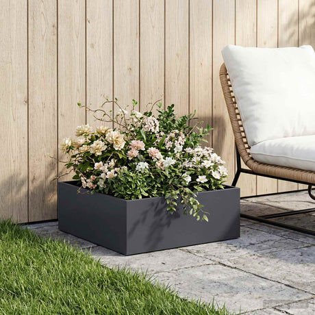 Vidaxl plantenbak antraciet 60 x 60 x 20 cm koudgewalst staal