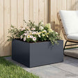 Vidaxl plantenbak antraciet 40 x 40 x 30 cm koudgewalst staal