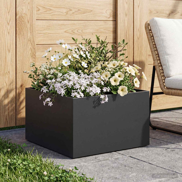 Vidaxl plantenbak zwart 60 x 60 x 30 cm koudgewalst staal