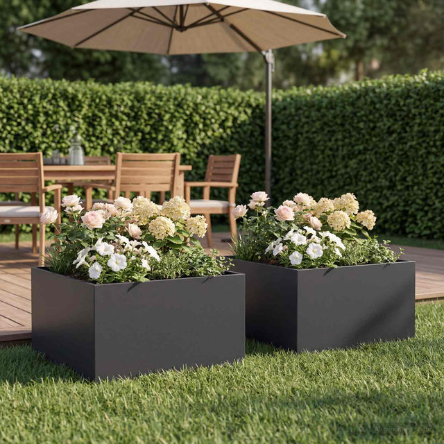 Vidaxl plantenbak 2 st zwart 60 x 60 x 30 cm koudgewalst staal