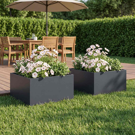 Vidaxl plantenbak 2 st antraciet 60 x 60 x 30 cm koudgewalst staal