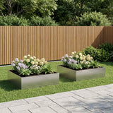 Vidaxl plantenbak 2 st zilver 100 x 100 x 30 cm roestvrij staal
