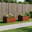 Vidaxl plantenbak 2 st roestkleurig 60 x 60 x 40 cm weervast staal
