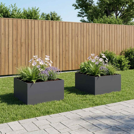 Vidaxl plantenbak 2 st antraciet 100 x 100 x 40 cm koudgewalst staal