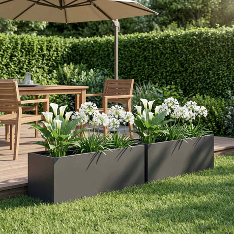 Vidaxl plantenbak 2 st zwart 60 x 20 x 20 cm koudgewalst staal
