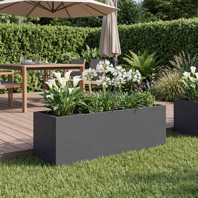 Vidaxl plantenbak antraciet 60 x 20 x 20 cm koudgewalst staal