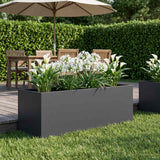 Vidaxl plantenbak antraciet 80 x 30 x 30 cm koudgewalst staal