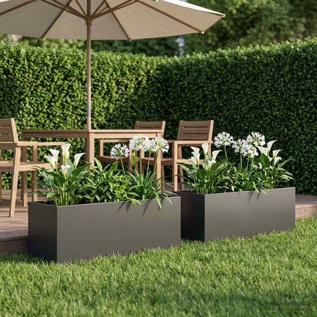 Vidaxl plantenbak 2 st zwart 100 x 30 x 30 cm koudgewalst staal