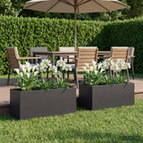 Vidaxl plantenbak 2 st zwart 80 x 40 x 40 cm koudgewalst staal