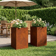 Vidaxl plantenbak 2 st roestkleurig 40 x 40 x 50 cm weervast staal