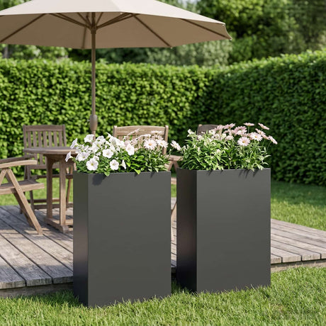 Vidaxl plantenbak 2 st zwart 50 x 20 x 75 cm koudgewalst staal