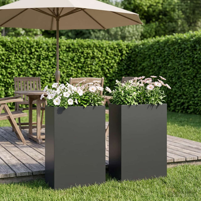 Vidaxl plantenbak 2 st zwart 50 x 20 x 75 cm koudgewalst staal
