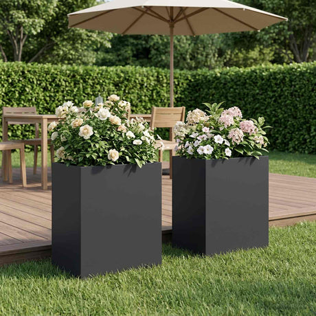 Vidaxl plantenbak 2 st zwart 40 x 30 x 50 cm koudgewalst staal