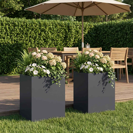 Vidaxl plantenbak 2 st antraciet 40 x 30 x 50 cm koudgewalst staal