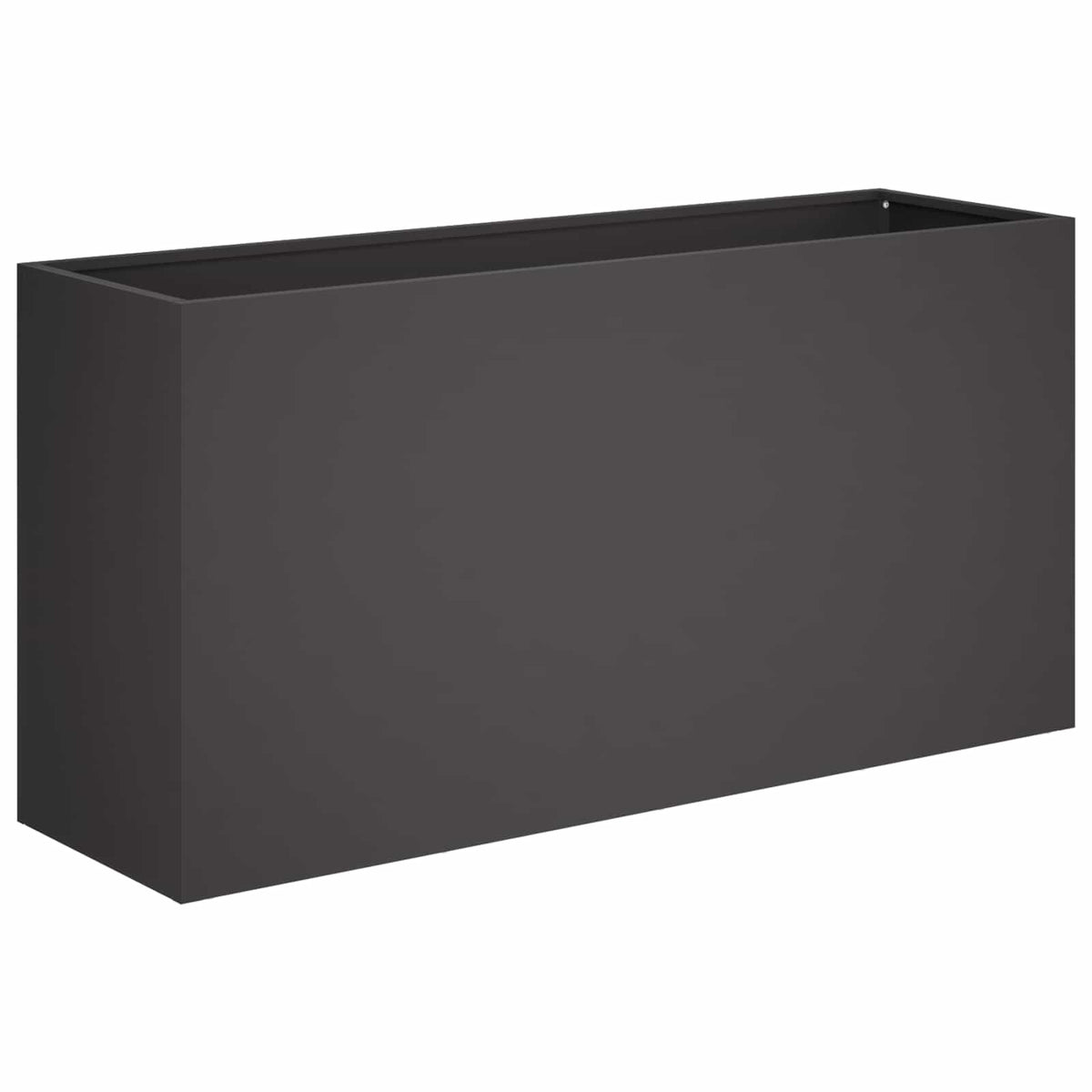 Vidaxl plantenbak zwart 100 x 30 x 40 cm koudgewalst staal