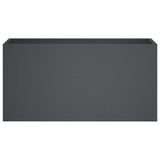 Vidaxl plantenbak antraciet 100 x 30 x 40 cm koudgewalst staal