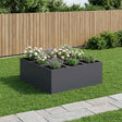 Vidaxl plantenbak antraciet 100 x 100 x 20 cm koudgewalst staal