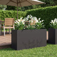 Vidaxl plantenbak zwart 100 x 30 x 49 cm koudgewalst staal