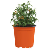 Vidaxl ronde bloempot 200 st terracotta ø 15 x 13 cm kunststof