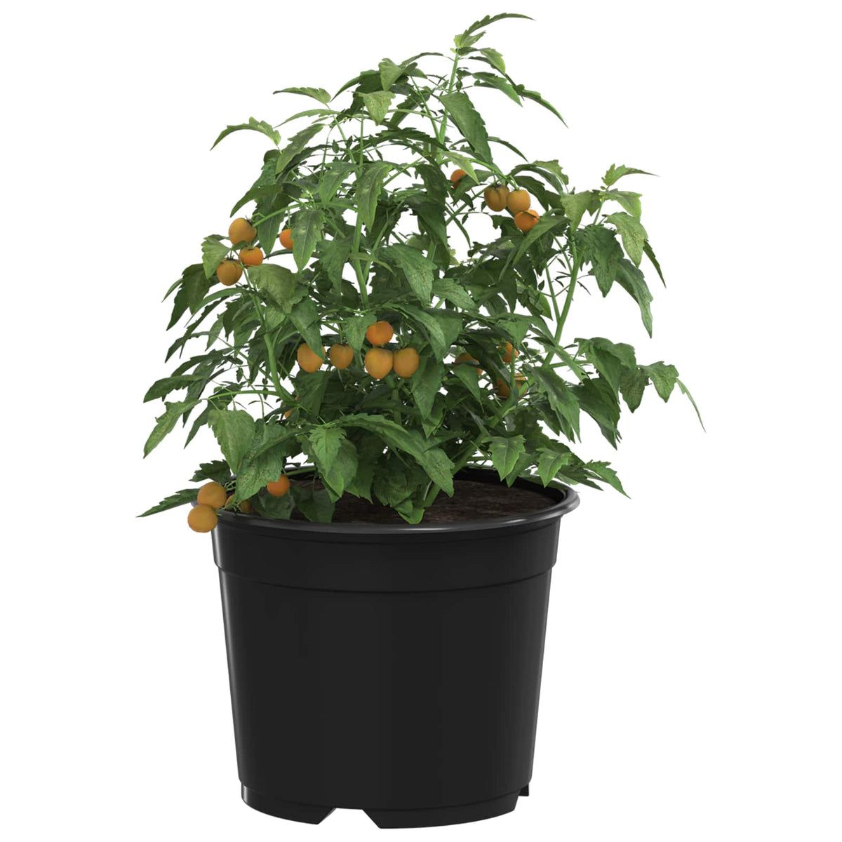 Vidaxl ronde bloempot 100 st zwart ø 10 x 8 cm kunststof