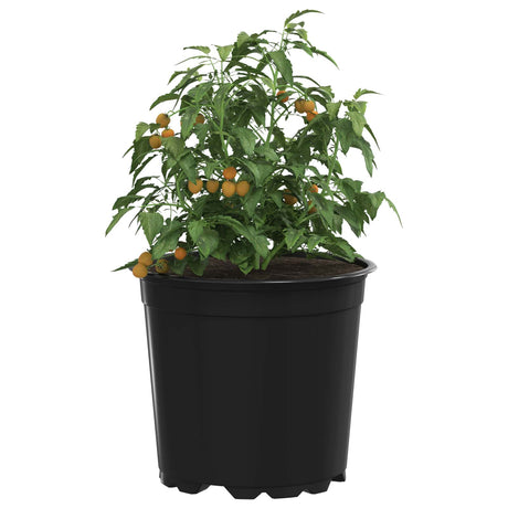 Vidaxl ronde bloempot 100 st zwart ø 15 x 13 cm kunststof