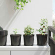 Vidaxl ronde bloempot 200 st zwart ø 15 x 13 cm kunststof