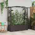 Vidaxl verhoogd bed met trellis en dak bruin 164 x 40 x 138 cm pp