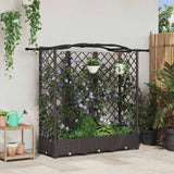 Vidaxl verhoogd bed met trellis en dak bruin 163 x 40 x 123 cm pp
