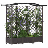 Vidaxl verhoogd bed met trellis en dak bruin 163 x 40 x 123 cm pp