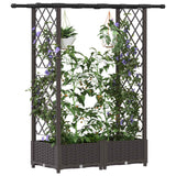 Vidaxl verhoogd bed met trellis en dak bruin 122,5 x 40 x 121 cm pp