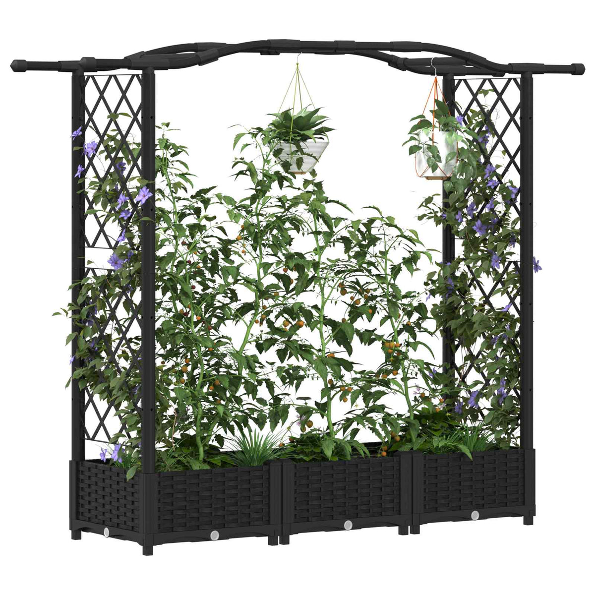 Vidaxl verhoogd bed met trellis en dak zwart 169 x 40 x 123 cm pp