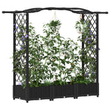Vidaxl verhoogd bed met trellis en dak zwart 169 x 40 x 123 cm pp