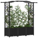 Vidaxl verhoogd bed met trellis en dak zwart 164 x 40 x 138 cm pp