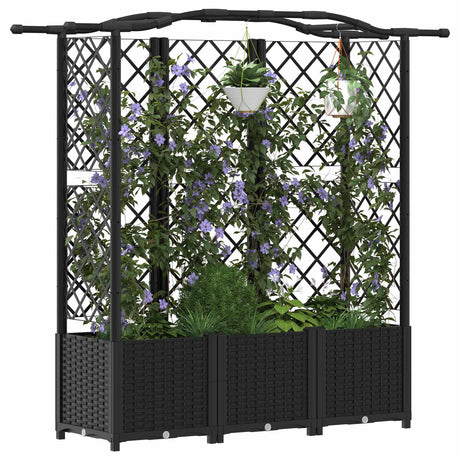 Vidaxl verhoogd bed met trellis en dak zwart 163 x 40 x 138 cm pp