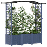 Vidaxl verhoogd bed met trellis en dak grijs 164 x 40 x 138 cm pp