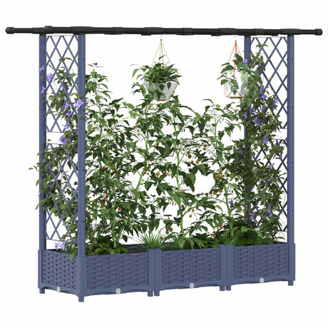 Vidaxl verhoogd bed met trellis en dak grijs 164 x 40 x 121 cm pp