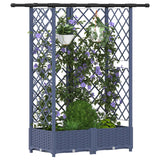 Vidaxl verhoogd bed met trellis en dak grijs 124 x 40 x 121 cm pp