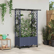 Vidaxl verhoogd bed met trellis en dak grijs 124,5 x 40 x 142 cm pp