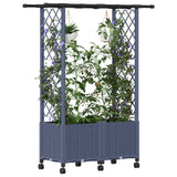 Vidaxl verhoogd bed met trellis en dak grijs 124,5 x 40 x 142 cm pp