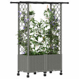 Vidaxl verhoogd bed met trellis en dak lichtgrijs 124,5 x 40 x 142 cm