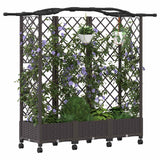 Vidaxl verhoogd bed met trellis en dak bruin 163 x 40 x 129 cm pp