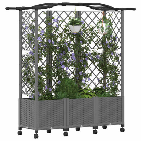 Vidaxl verhoogd bed met trellis en dak lichtgrijs 163 x 40 x 144 cm pp