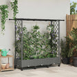 Vidaxl verhoogd bed met trellis en dak lichtgrijs 164 x 40 x 127 cm pp