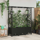Vidaxl verhoogd bed met trellis en dak zwart 162,5 x 40 x 142 cm pp