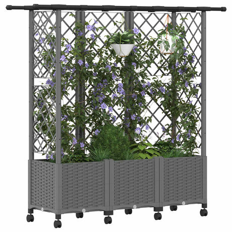 Vidaxl verhoogd bed met trellis en dak lichtgrijs 163,5 x 40 x 142 cm