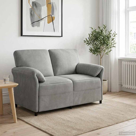 Vidaxl 2-zits sofa lichtgrijs 138 x 83 x 95 cm fluweel
